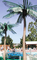 Artificial Palm Tree