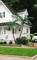 Artificial Palm Tree