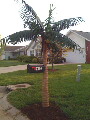 Palm Tree Mailbox Post