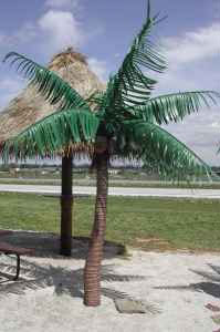 Six Foot Palm